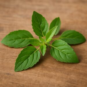 tulsi